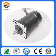 Small Brushless DC Motor (FXD62BLDC24117)